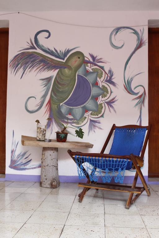 Akasha Hostel Mérida Zewnętrze zdjęcie