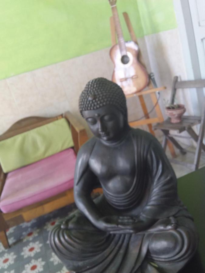 Akasha Hostel Mérida Zewnętrze zdjęcie
