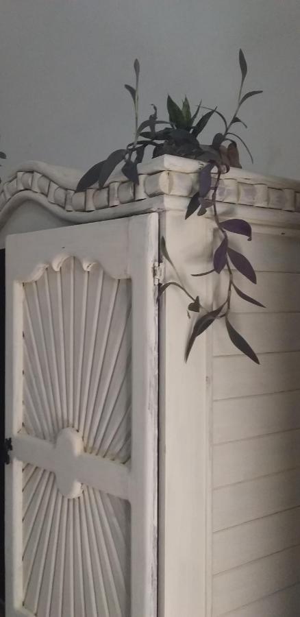 Akasha Hostel Mérida Zewnętrze zdjęcie
