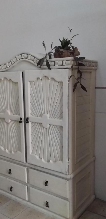Akasha Hostel Mérida Zewnętrze zdjęcie