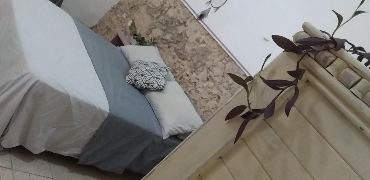 Akasha Hostel Mérida Zewnętrze zdjęcie